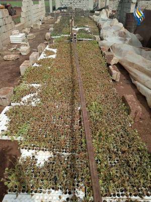 Прикрепленное изображение: 276110675_5244872252197606_228712386733129029_n.jpg